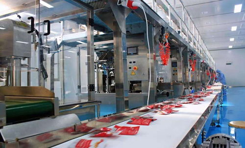 科學規劃與精細實施 食品工廠車間排水溝的圖文設計制作指南